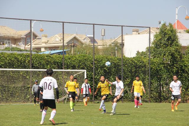 哈利伯顿26+11库里25+10+5 步行者力克勇士