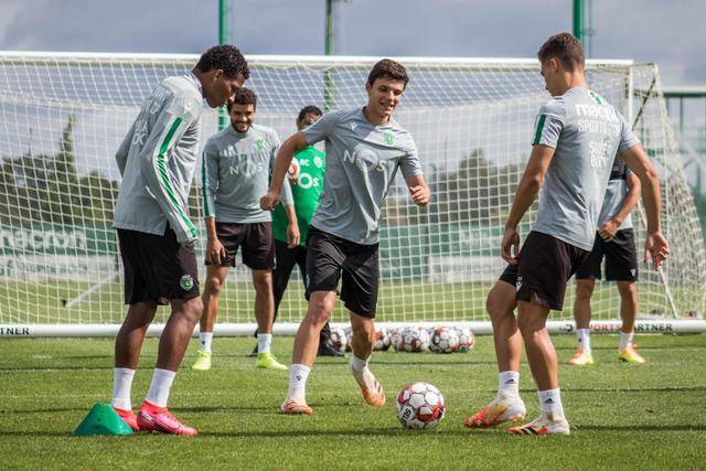 浙江女篮官宣签约WNBA全明星球员仙扬-帕克